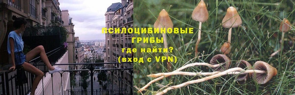 прущий лед Белокуриха