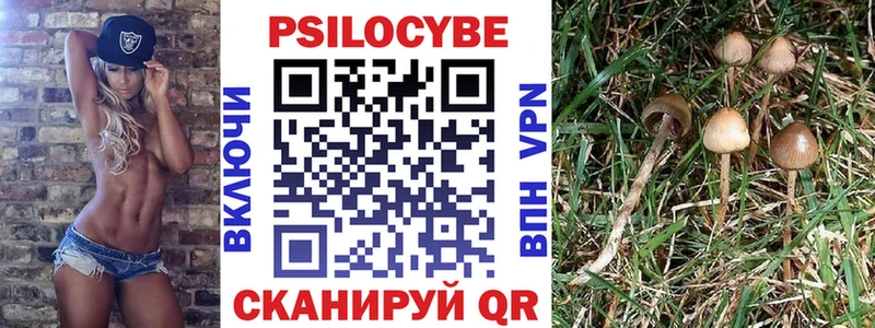 Галлюциногенные грибы мухоморы  Мещовск 
